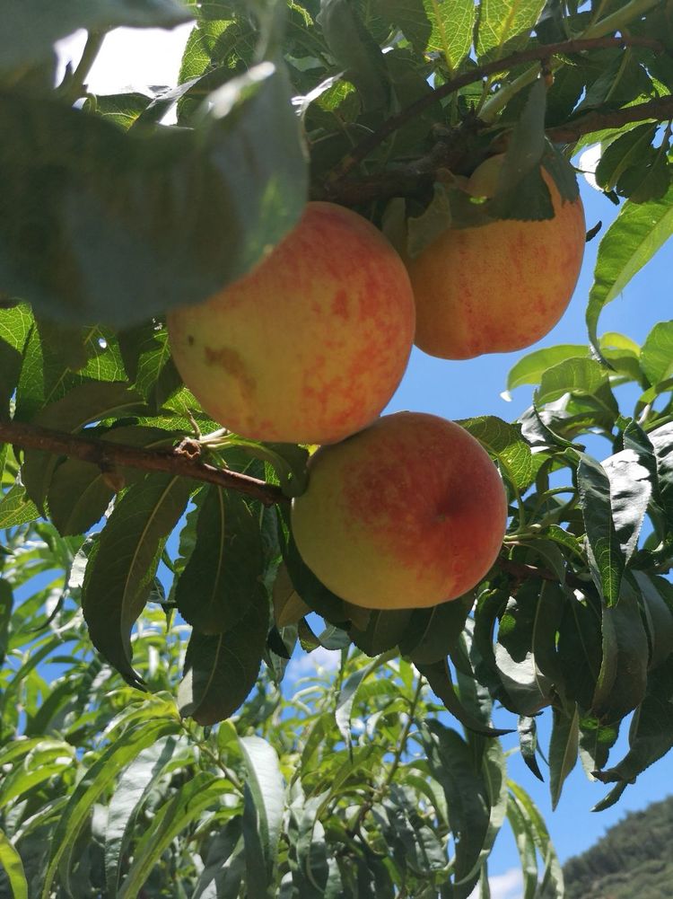 b395900591c943fd92ab7c1881556821-2.jpg b395900591c943fd92ab7c1881556821-2.jpg